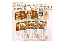 かきのきむらのスパイスカレー(3袋)とパックごはん農飯(白米1個・玄米2個)セット【1538753】