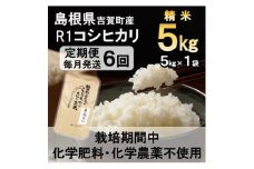 ＜毎月定期便＞栽培期間中化学肥料・化学農薬不使用 R1米コシヒカリ5kg(精米)全6回【4057271】