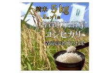 令和6年産　吉賀町広石産コシヒカリ　清流高津川のお米　精米5kg【1596753】