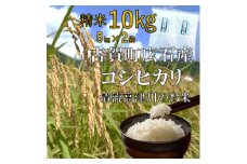 令和6年産　吉賀町広石産コシヒカリ　清流高津川のお米　精米10kg【1596764】