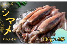 【朝どれシマメ 小サイズ丸ごと4杯セット】130g×4杯  いか イカ スルメイカ 朝どれシマメ