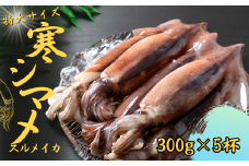 【朝どれ寒シマメ特大サイズ 丸ごと5杯セット】300g×5杯  いか イカ スルメイカ 朝どれ寒シマメ