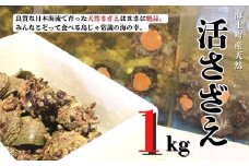 【入荷次第順次発送】島獲れ活さざえ1kgセット  冷蔵便 サザエ 栄螺 貝 海鮮 BBQ さざえご飯 壺焼き 刺身 バーベキュー ギフト お中元 御中元