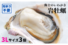 【殻剥き不要】海士のいわがき 殻なし巨大3Lサイズ×3個（960g～1.2kg）