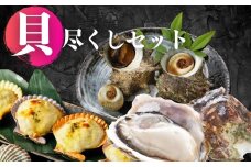 【海士の貝づくしセット】海士の高級岩牡蠣・さざえ・ひおうぎ貝の島の絶品海鮮