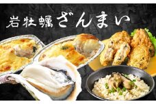 【島のブランド岩牡蠣】岩牡蠣ざんまいセット 岩牡蠣 生食 岩牡蠣フライ グラタン ドリア 炊き込みご飯 グルメ詰め合わせ
