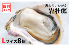 【いわがき殻付き Lサイズ 8個】岩牡蠣 生食可 冷凍 牡蛎 牡蠣 かき カキ 岩牡蠣 いわがき 冷凍 父の日 母の日 バーベキュー ギフト