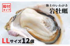 【いわがき殻付き LLサイズ 12個】岩牡蠣 生食可 冷凍 牡蛎 牡蠣 かき カキ 岩牡蠣 いわがき 冷凍 父の日 母の日 バーベキュー ギフト