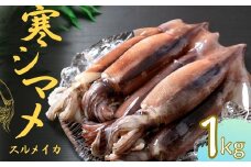 【朝どれスルメイカ丸ごと5本】寒シマメ スルメイカ 1kg 冷凍 刺身 個包装 捌き方説明書付き（ いか 烏賊 イカ スルメ 母の日 父の日）