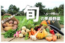 季節の野菜詰め合わせ（5～6種）！農薬不使用だから安心安全！