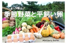 季節の野菜詰め合わせ（4～5種）と平飼い卵セット！農薬不使用だから安心安全！