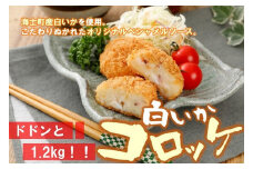 白いかコロッケ ドドンと1.2㎏！！ （オリジナルベシャメルソース+ほくほくポテト）冷凍 簡単 CAS CAS冷凍   