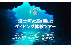 【離島で潜ろう！】海士町ダイビング体験（ボートダイビング）