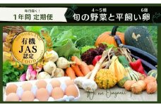 【季節の野菜 定期便12ヵ月】採れたて！旬のお野菜定期便 新鮮 採れたて 産地直送 旬野菜 朝採れ 有機野菜 年末年始 鍋 お正月 お歳暮 御歳暮 ギフト 定期便