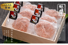 【隠岐牛プレミアム生ハンバーグ 6個】900g 天然塩付 島生まれ島育ちのブランド黒毛和牛 隠岐牛 黒毛和牛 ハンバーグ 牛肉 肉 A4 A5 ブランド牛 バーベキュー ギフト お中元 御中元