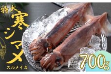 【寒シマメ 特大サイズ 丸ごと２杯セット】700g〜800g いか イカ スルメイカ 朝どれ寒シマメ 父の日 母の日 バーベキュー ギフト