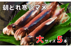 朝どれ寒シマメ大サイズセット（250-300ｇ×5）