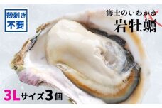 【のし付き】海士のいわがき 殻なし巨大3Lサイズ×3個（960g～1.2kg）殻剥き不要