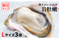 【のし付き いわがき 殻付きLサイズ 3個】岩牡蠣 生食可 冷凍 牡蛎 牡蠣 かき カキ 岩牡蠣 いわがき 冷凍 父の日 母の日 バーベキュー ギフト
