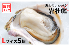 【のし付き いわがき 殻付きLサイズ 5個】岩牡蠣 生食可 冷凍 牡蛎 牡蠣 かき カキ 岩牡蠣 いわがき 冷凍 父の日 母の日 バーベキュー ギフト