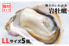 【のし付き いわがき 殻付きLLサイズ 5個】岩牡蠣 生食可 冷凍 牡蛎 牡蠣 かき カキ 岩牡蠣 いわがき 冷凍 父の日 母の日 バーベキュー ギフト
