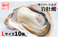 【のし付き いわがき 殻付きLサイズ 10個】岩牡蠣 生食可 冷凍 牡蛎 牡蠣 かき カキ 岩牡蠣 いわがき 冷凍 父の日 母の日 バーベキュー ギフト