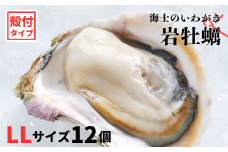 【のし付き いわがき 殻付きLLサイズ 12個】岩牡蠣 生食可 冷凍 牡蛎 牡蠣 かき カキ 岩牡蠣 いわがき 冷凍 父の日 母の日 バーベキュー ギフト