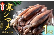 【のし付き】朝どれ寒シマメ（スルメイカ）丸ごと5本 冷凍 刺身 ＜便利な個包装＞