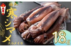 【のし付き スルメイカ丸ごと】朝どれ寒シマメ 丸ごと5杯セット（350-400g×5） いか イカ スルメイカ