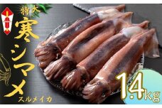 【のし付き スルメイカ丸ごと】朝どれ寒シマメ 丸ごと4杯セット いか イカ スルメイカ 父の日 母の日 バーベキュー ギフト