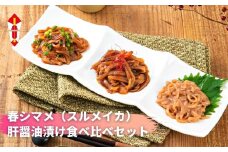 【のし付き】春シマメ スルメイカ 肝醤油漬け３種 食べ比べセット 柔らかスルメイカ 