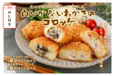 【のし付き】白いか＆いわがきのコロッケ （オリジナルベシャメルソース+ほくほくポテト）