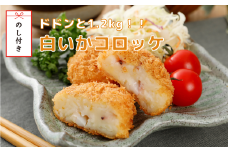 【のし付き】白いかコロッケ 1.2㎏！！ （オリジナルベシャメルソース+ほくほくポテト）