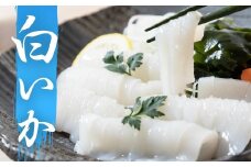 【新鮮朝どれ特産品】海士町が誇る高級白いかの開き200g（50g×4袋） 白いか いか イカ 刺身 海鮮 生食用 簡単 お手軽