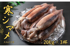 【朝どれスルメイカ丸ごと3本】寒シマメ スルメイカ 200g×3杯 冷凍 刺身 個包装 捌き方説明書付き（ いか 烏賊 イカ スルメ ）