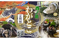 西ノ島わがとこ便2026 あわび アワビ さざえ サザエ 隠岐のいわがき いわがき  酒粕ケーキ  松葉ガニ カニ 天然 定期便 