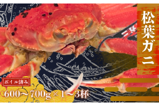 松葉ガニ600～700g〈ボイル〉松葉カニ カニ 蟹 冷凍 身入り堅蟹 旬 解禁 お歳暮 年末年始 お正月 贈り物 プレゼント 家族で 祭事 祝 