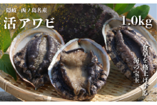 島獲れ天然活アワビ 約1キロセット 日本海の離島が誇る極上アワビを皆様の食卓へ　栄養満点な昆布を食べて育つ美味しいアワビです！
冷蔵便 活アワビ 鮑 貝 海鮮 BBQ 刺身 ステーキ 肝醤油 バーベキュー ギフト お中元 御中元 島アワビ 活アワビ 新鮮 贈答用　

