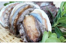 【日時指定可】肉厚ぷりぷり！西ノ島町で育った極上の逸品！ 旨味が凝縮された養殖活アワビ　活きたままお届け！とれたて新鮮！