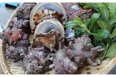 【日時指定可】はじめての西ノ島の寄付の方はもちろん、リピーターの方も実は多い！西ノ島 極上活アワビ＆活サザエ 食べ比べセット　西ノ島町が誇る逸品！旬の味覚直送便