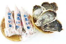 （株）日本海隠岐活魚倶楽部・プロトンセット 