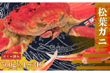 隠岐松葉カニ500g×2杯〈ボイル〉