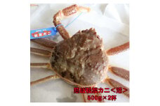 隠岐松葉カニ 計1kg 500g×2杯〈活〉