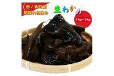 朝採れ初摘み生わかめ 1kg