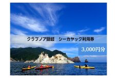 【ふるさと納税】 西ノ島の絶景を独り占め！ シーカヤックで巡る大自然の冒険へ　夏休み・遊び・絶景・レジャー・体験・マリンスポーツ・スポーツ・観光 シーカヤック体験利用券3,000円分 パドル 体感 体験 初心者 アクティビティ 探索 冒険 大自然 海 海の恵み