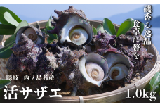コリ旨！獲れたて鮮度抜群 島獲れ活サザエ1.0kg大満足セット - 磯の香りと海の恵みを食卓へ
冷蔵便 サザエ 栄螺 貝 海鮮 BBQ さざえご飯 壺焼き 刺身 バーベキュー ギフト お中元 御中元　島サザエ　新鮮