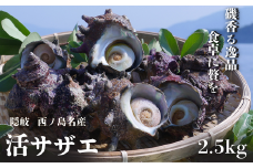 コリ旨！獲れたて鮮度抜群 島獲れ活サザエ2.5kg大満足セット - 磯の香りと海の恵みを食卓へ
冷蔵便 サザエ 栄螺 貝 海鮮 BBQ さざえご飯 壺焼き 刺身 バーベキュー ギフト お中元 御中元　島サザエ　新鮮