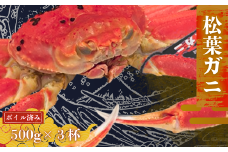 松葉カニ500g×3杯〈ボイル〉松葉ガニ カニ 蟹 新鮮 旬 プレゼント 贈与 お祝い事 贈り物 年末年始 祝辞