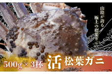 松葉カニ500g×3杯〈活〉松葉ガニ カニ 蟹 新鮮 旬 プレゼント 贈与 お祝い事 贈り物 年末年始 祝辞