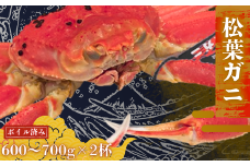 松葉カニ600g～700g×2杯〈ボイル〉松葉ガニ カニ 蟹 新鮮 旬 プレゼント 贈与 お祝い事 贈り物 年末年始 祝辞